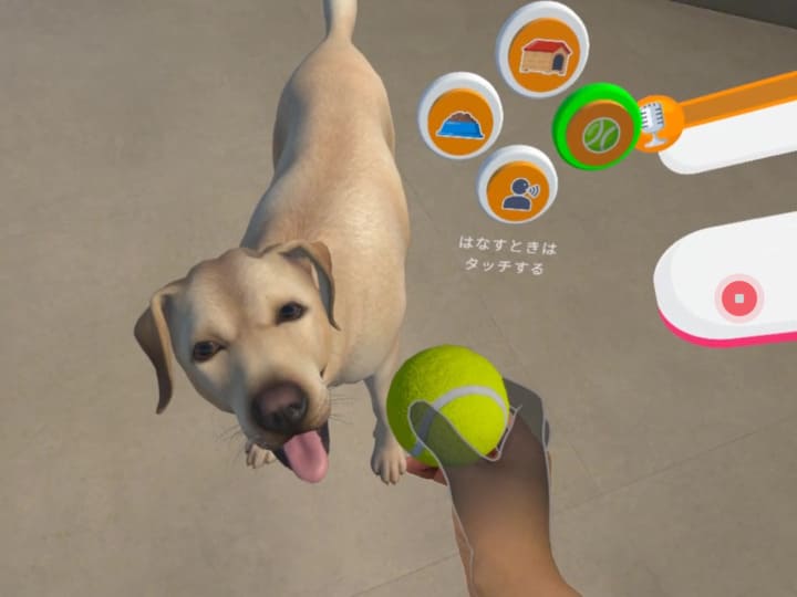 バーチャルの中にいるワンちゃんの画像