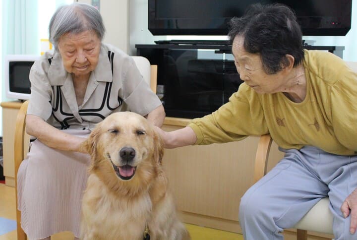 犬と触れ合う利用者さま